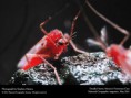 /album/fotogalerie/wallpaper3-6-jpg/