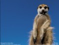 /album/fotogalerie/wallpaper-lg-1-1-jpg/