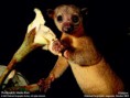 /album/fotogalerie/wallpaper-lg-2-1-13-jpg/