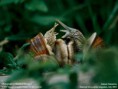 /album/fotogalerie/wallpaper-lg-3-1-10-jpg/