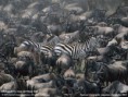 /album/fotogalerie/wallpaper-lg-4-1-12-jpg/