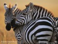 /album/fotogalerie/wallpaper-lg-2-1-12-jpg/