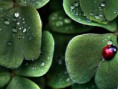 /album/fotogalerie/w47-jpg/