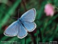 /album/fotogalerie/wallpaper-lg-3-1-9-jpg/