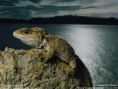 /album/fotogalerie/wallpaper-lg-4-1-1-jpg/