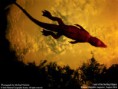 /album/fotogalerie/wallpaper-lg-4-1-23-jpg/