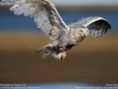 /album/fotogalerie/wallpaper-lg-2-1-3-jpg/
