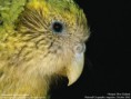 /album/fotogalerie/wallpaper-lg-1-1-1-jpg/