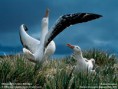 /album/fotogalerie/wallpaper-lg-1-1-10-jpg/