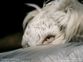 /album/fotogalerie/wallpaper-lg-1-1-31-jpg/