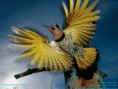 /album/fotogalerie/wallpaper-lg-1-2-5-jpg/