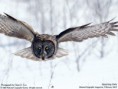 /album/fotogalerie/wallpaper-lg-1-2-12-jpg/