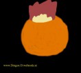 /album/weitere-bilder/dickblatt-1-jpg/